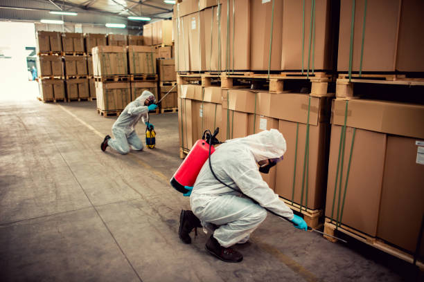 Best Termite Control Services  in Chigan Center, MI