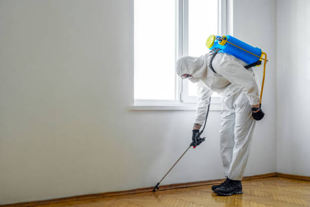 Wildlife Control Services in Michigan Center, MI