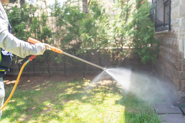 Best Flea Control Services  in Chigan Center, MI
