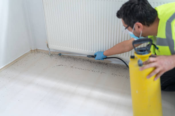 Best Affordable Pest Control Services  in Chigan Center, MI